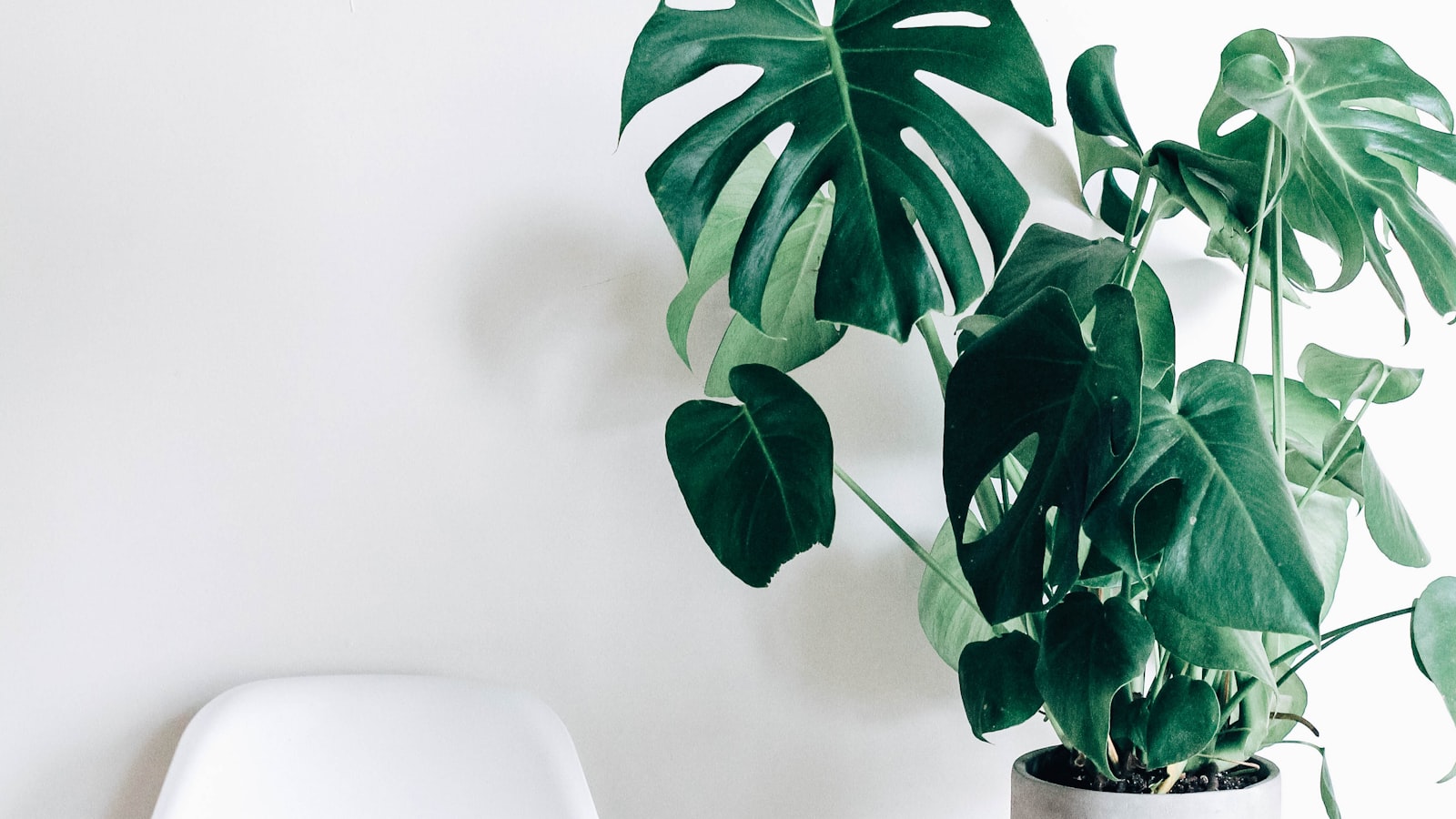 A sunny apartment balcony filled with potted plants beside a small chair.